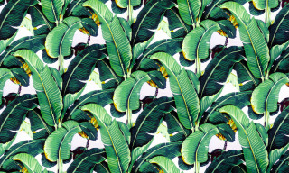 Green leafy pattern white background - jungle free wallpaper