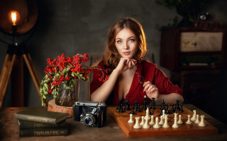 Woman camera chess flower vase - a vase of flowers free wallpaper for desktop