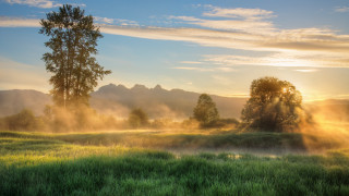 Field trees mountain sunbeam foggy - tree and a mountain in the background free wallpaper