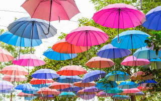 Umbrellas line trees sky ecological - ecological art free wallpaper