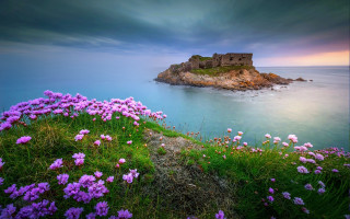 Castle island ocean purple flowers - free summer wallpaper