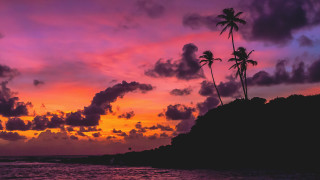 Sunset palmtrees rockyoutcrop pinksky clouds - a rocky outcropping free wallpaper