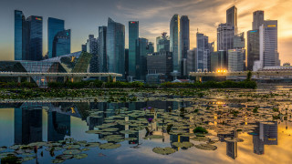 City skyline lake lily pads - the foreground and a sunset in the background free wallpaper for desktop