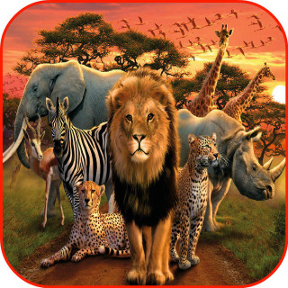 Group animals dirt road together - free animals wallpaper for tablet