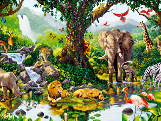 Jungle animals birds natural habitat - a zebra free wallpaper