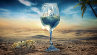 Wine crab beach sunset palm - surreal photography free wallpaper