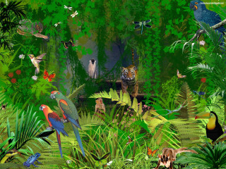 Jungle painting animals birds wildlife - jungle free wallpaper