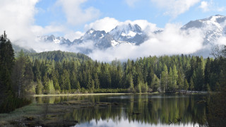 Lake trees mountains clouds birds 3 - a few bird free wallpaper for desktop