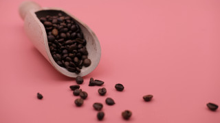 Beans spilling pink background seeds - minimalism free wallpaper