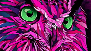 Colorful owl green eyes purple - this image free wallpaper for desktop