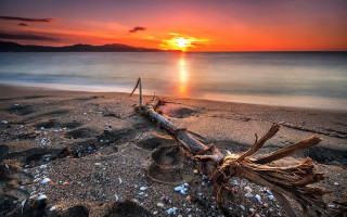 Beach log sunset rocks debris - arthur b. carles free wallpaper