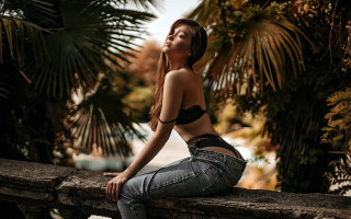 Elina karimova palm trees sunset - a ledge free wallpaper