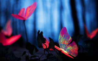 Pink flower glowing forest blue - the leaf free wallpaper