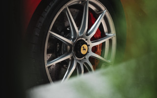 Car wheel green plant red - bernardo cavallino free wallpaper