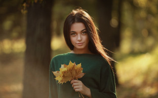 Woman leaf forest sunlight bokeh - the leaf free wallpaper for desktop