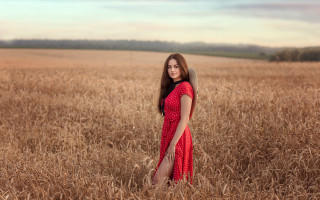 Woman red dress wheat field 6 - a field of wheat free wallpaper