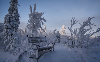 Snowy forest bench blue sky - neoromanticism free wallpaper