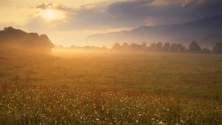 Horse field sunset clouds hudson - volumetric light free wallpaper