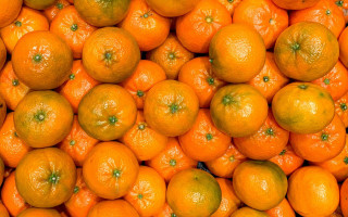 Orange pile halloween basketball ghost - green stem free wallpaper for desktop