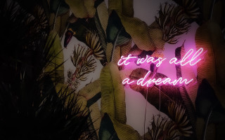 Neon dream wall plants retrowave - retrowave free wallpaper