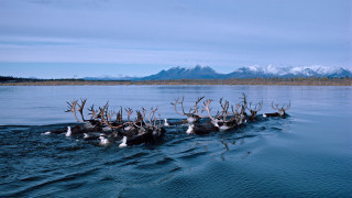 Reindeer lake mountains clouds ecological - the background and a sky background free wallpaper