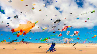 Kites beach sky clouds children - affinity photo free wallpaper for desktop
