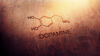 Dopamine brown substance light window - analytical art free wallpaper for desktop