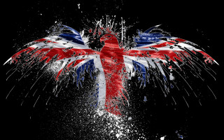 Bird uk flag splashing water - wing free wallpaper