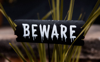 Beware plant shock art fear - a plant in the background free wallpaper
