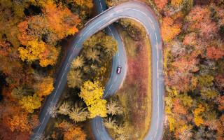 Car winding road autumn forest - winding free wallpaper