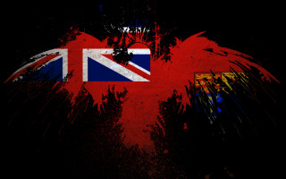Grungy british flag bird back - british free wallpaper for desktop