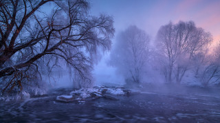 River trees foggy moon mountains - a bunch of trees free wallpaper