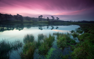 Lake sunset forest bush water - a pink sky in the background free wallpaper