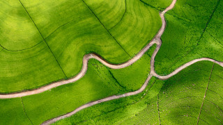 Winding road green field aerial - winding free wallpaper for desktop
