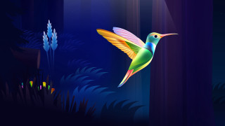 Holographic hummingbird night forest flower - charles bird king free wallpaper for desktop
