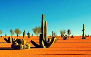 Desert cactus blue sky fireworks - aquirax uno free wallpaper for desktop
