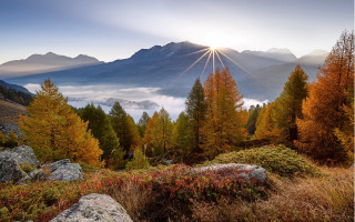 Mountain sunburst autumn leaves forest - nature free wallpaper
