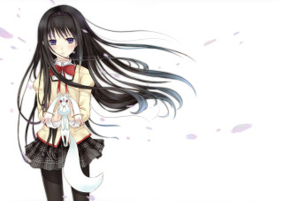 Girl black hair white cat - magical realism free wallpaper for desktop