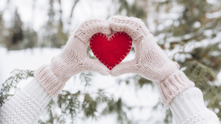 Romantic snowy heart hands pine - their hands in free wallpaper for desktop