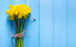 Yellow flowers blue wall rope - a rope free wallpaper