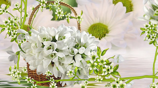 White flowers basket table floral - a basket free wallpaper