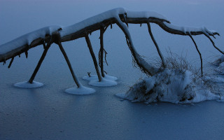Wooden structure snow frozen lake - a surrealist sculpture free wallpaper