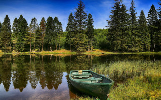 Small boat lake forest sunny - top of a lake next free wallpaper for desktop