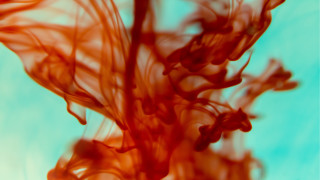 Red fire blood microscopic autumn - alberto seveso free wallpaper