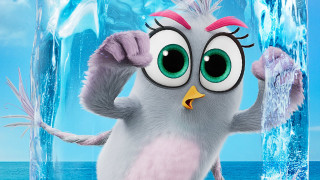 Cartoon animal ice block beak - flavia bloi free wallpaper for desktop