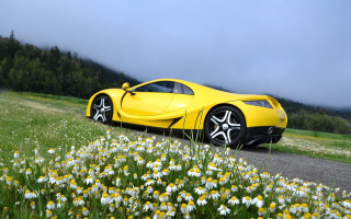 Yellow sports car flower field - field free wallpaper