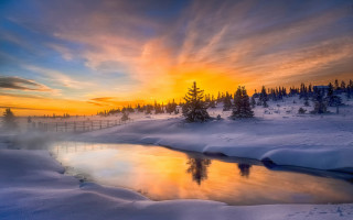 Sunset snowy landscape pond trees - beautiful landscape free wallpaper