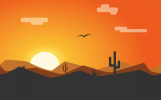 Sunset bird desert cactus horizon - over a desert landscape free wallpaper
