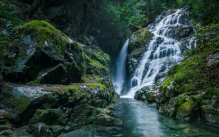 Waterfall forest moss rocks stream - the rock and water free wallpaper