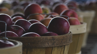 Baskets apples shallow depth tiltshift - a table top next free wallpaper